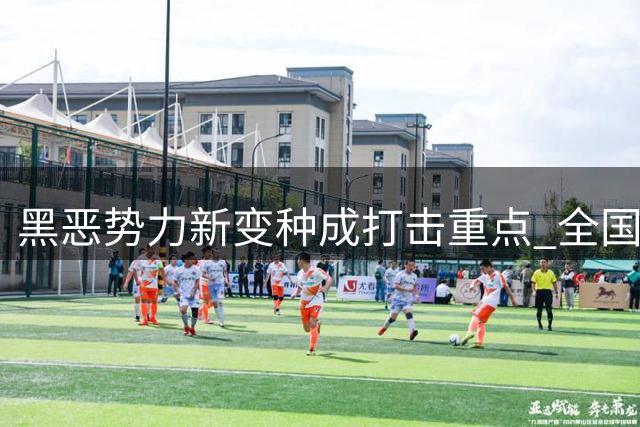 黑恶势力新变种成打击重点 全国掀起专项斗争新高潮